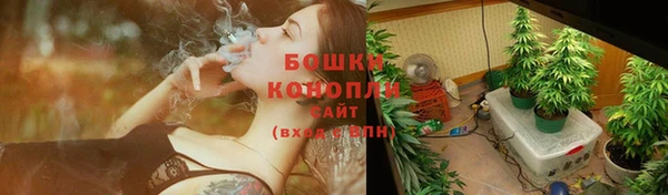 молекула духа Горняк