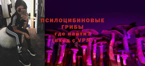молекула духа Горняк