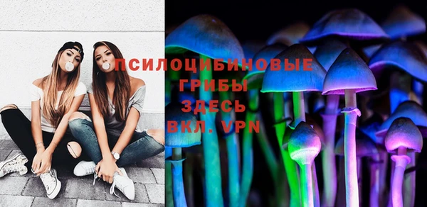 молекула духа Горняк