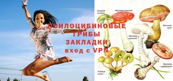 молекула духа Горняк