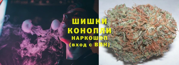 spice Горнозаводск